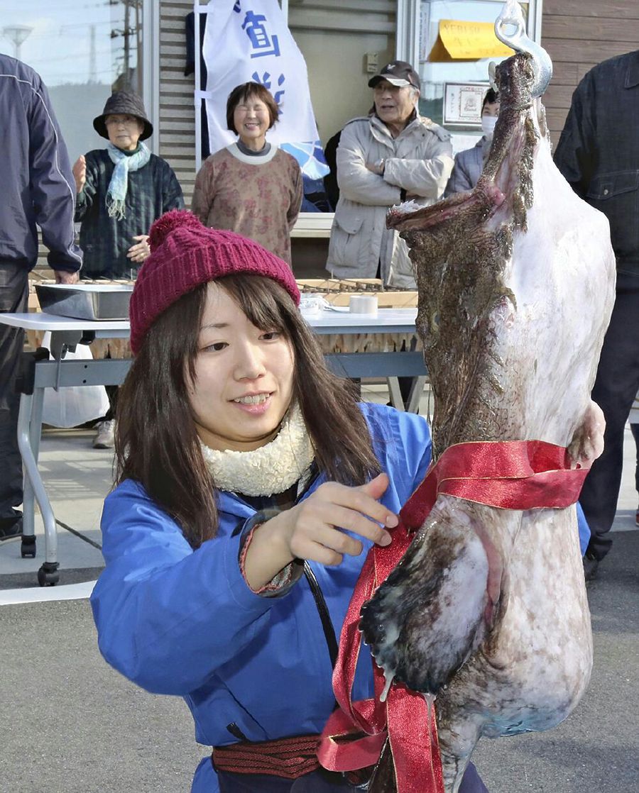 photo6194963697521240416_1581221569