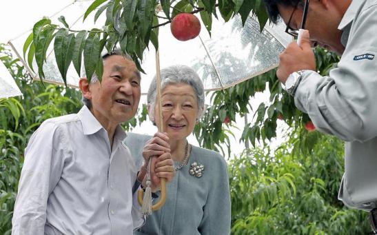 eight_col_053_1EMPERORPEACH201507168