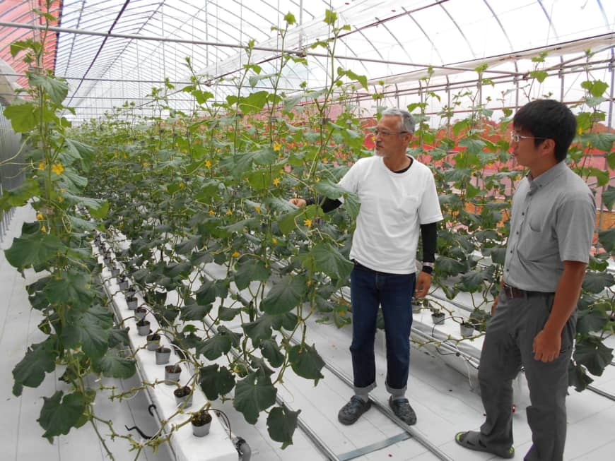 np_file_25710-870x653