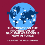 Treaty now in&nbsp;force